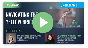 A webinar about navigating the yellow brick road.