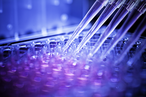 Determine if the hybridization ELISA method selectively quantifies the parent compound or  detects metabolites.