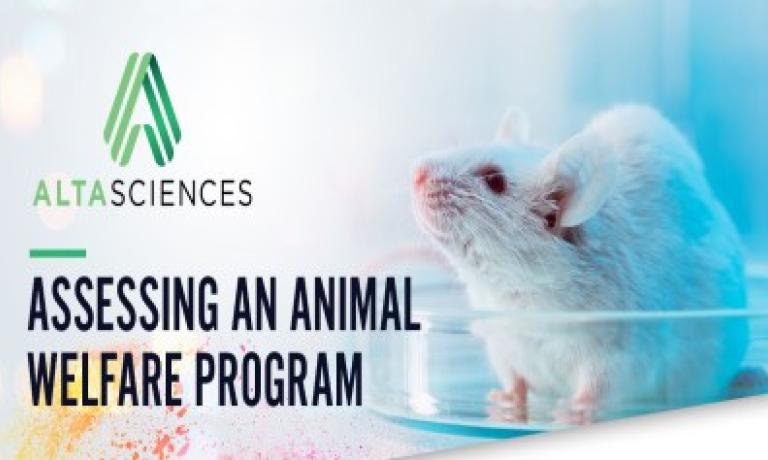 Assessing an animal welfare program