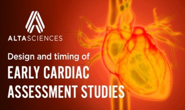 Early cardiac assessment studies to determine cardiac safety profile