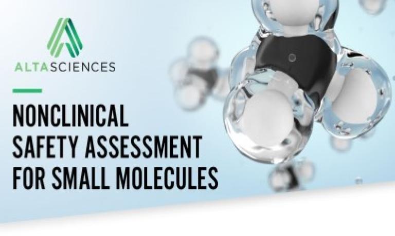 Nonclinical Safety Assessment for Small Molecules 