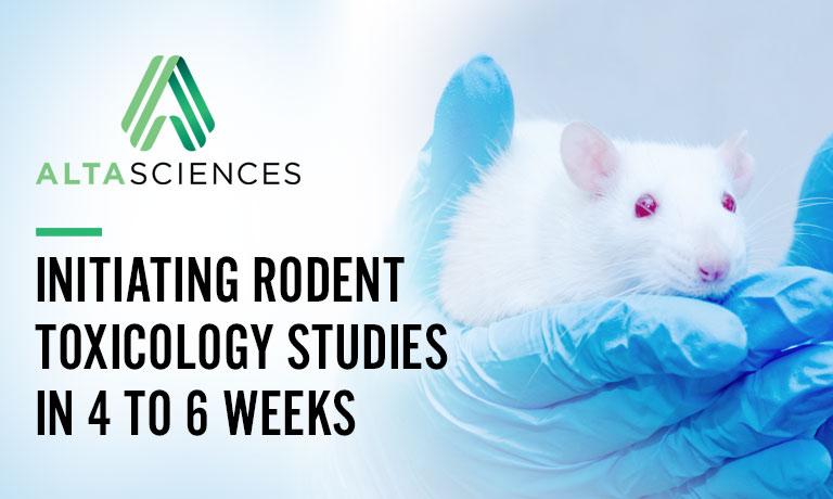 Initiating Rodent Toxicology Studies in 4 to 6 Weeks 