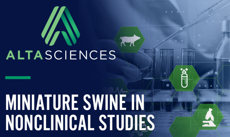 How Miniature Swine Models Are Revolutionizing Preclinical Research